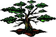 seed